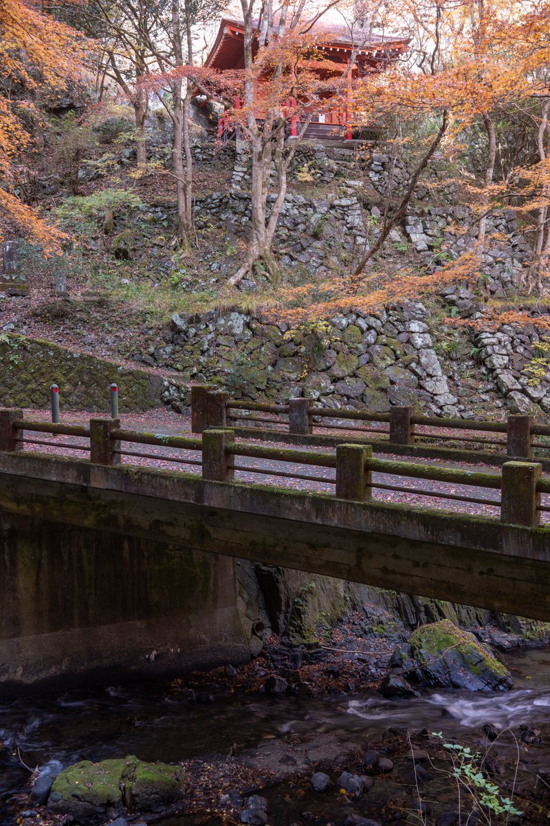 p_r_m_n_r's tweet image. 蓬莱神社