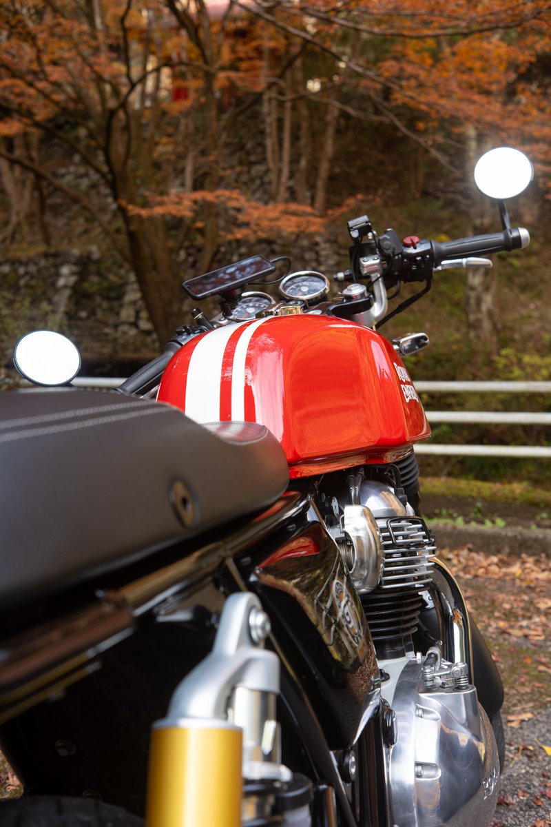 p_r_m_n_r's tweet image. 蓬莱神社