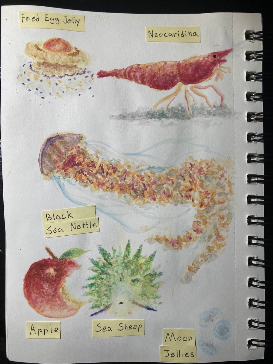 Mug_does_stuff's tweet photo. water colors https://t.co/aL6mpOcAOL