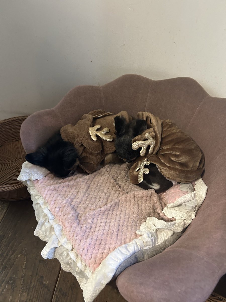 今日の朝ごはん🍚