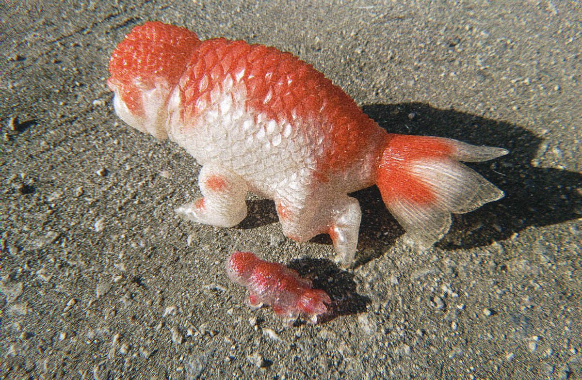 ヤモマークガチャでのキンギョザウルス このサイズでこの仕上がり