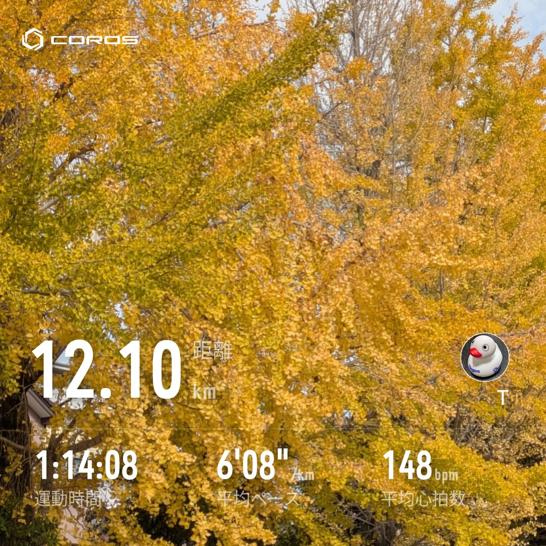 Doraboh_san's tweet image. 本日のラン
#ランニング　#ジョギング
#COROS #祝日ランニング
走りました！週１回のペースに戻したい！