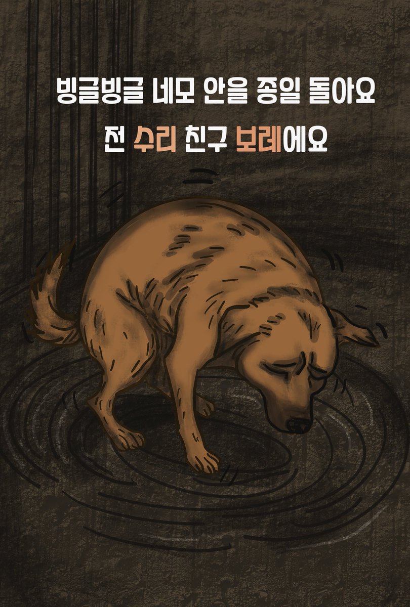 kara_recovery_'s tweet photo. 보레는 2022년 7월, 도살장에서 구조되었습니다.
그 당시 보레는 겨우 한 살 남짓한 어린 몸으로, 수리와 같이 사람을 잘 따르고 반겨주던 순한 강아지였습니다.

이런 보레가 사회화 교육을 받을 기회를 얻었다면 어땠을까요?
사람으로 치면 20년 넘는 시간을, 자신의 몸보다 겨우 1.5배 넓은, 창도 없는 사각형 우리 안에 갇혀 지내며 사회화 시기를 놓치고, 입양의 기회마저 빼앗기고, 결국 정형행동을 보일 때까지 아무도 보레를 제대로 돌봐주지 않았습니다.
카라 사측은 한 달에 한두 번, 몇 분이나 보레를 찾아 주셨습니까?

벽틈 사이로 겨우 보이는 사람의 눈을 향해, 그 짧은 순간마저 기쁨에 꼬리를 흔들던 보레를…
그 작은 몸짓, 그 간절한 신호조차 외면하지는 않으셨습니까?

위탁소의 개들은 사회화 교육 없이 방치된 채 있다가 병이 나거나 죽어서야 비로소 그곳을 벗어날 수 있었습니다.

“비사회화된 개여서 데려올 수 없었다.”
“개들이 스스로 자기를 가두었다.”
카라 사측의 이러한 해명은 사실이 아닙니다.
이는 스스로의 책임을 감추기 위한 거짓 변명일 뿐입니다.

이제 날이 점점 추워지고 있습니다.
차갑고 검은 벽으로 세상과 단절된 그 공간 안에서, 여전히 보레와 같은 개들이 또 한 번 ‘구조’를 기다리고 있습니다.
살아서는 나올 수 없는 곳, 그곳은 보호소가 아니라 아무도 찾아오지 않는 또 다른 감옥이 되어버렸습니다.

시민 여러분, 카라 회원 ��러분!

카라의 아름다운 영상 뒤에 가려진 동물들을 외면하지 말아주십시오.

여러분 한 사람 한 사람의 목소리와 관심이, 한 생명을 살릴 수 있습니다.

카라가 구조한 동물들을 더 이상 방치하거나 학대하지 않도록, 부디 함께 목소리를 내어 주십시오.

카라시민행동과 함께해 주십시오.

구조 뒤 방치된 동물들은 지금 이 순간에도 기다리고 있습니다.
여러분의 목소리와 용기가 그들을 구할 수 있습니다.

카라 정상화를 바라는 카라시민행동 드림