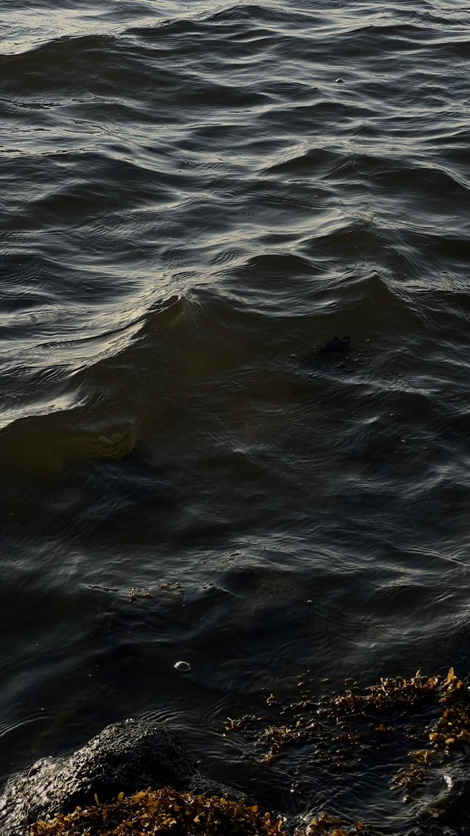 انا صورتها والله بجوالي ويدي