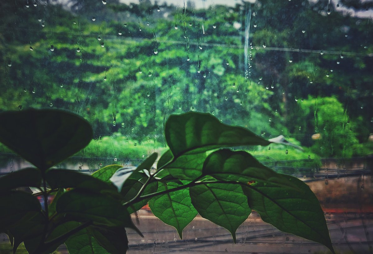 VsRevathy's tweet photo. https://t.co/XxLBWzSG9a