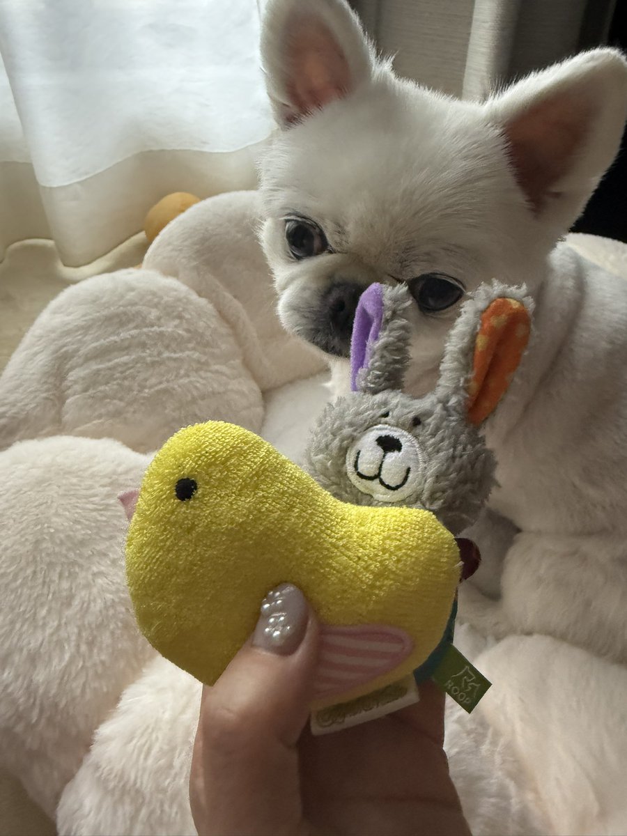 川上優 (森野雫)