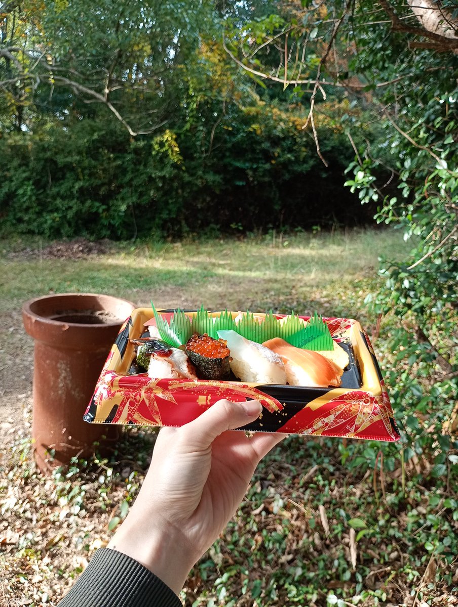 imo_yamo's tweet photo. Sushi in the Forest. https://t.co/gvZqmhSKAq