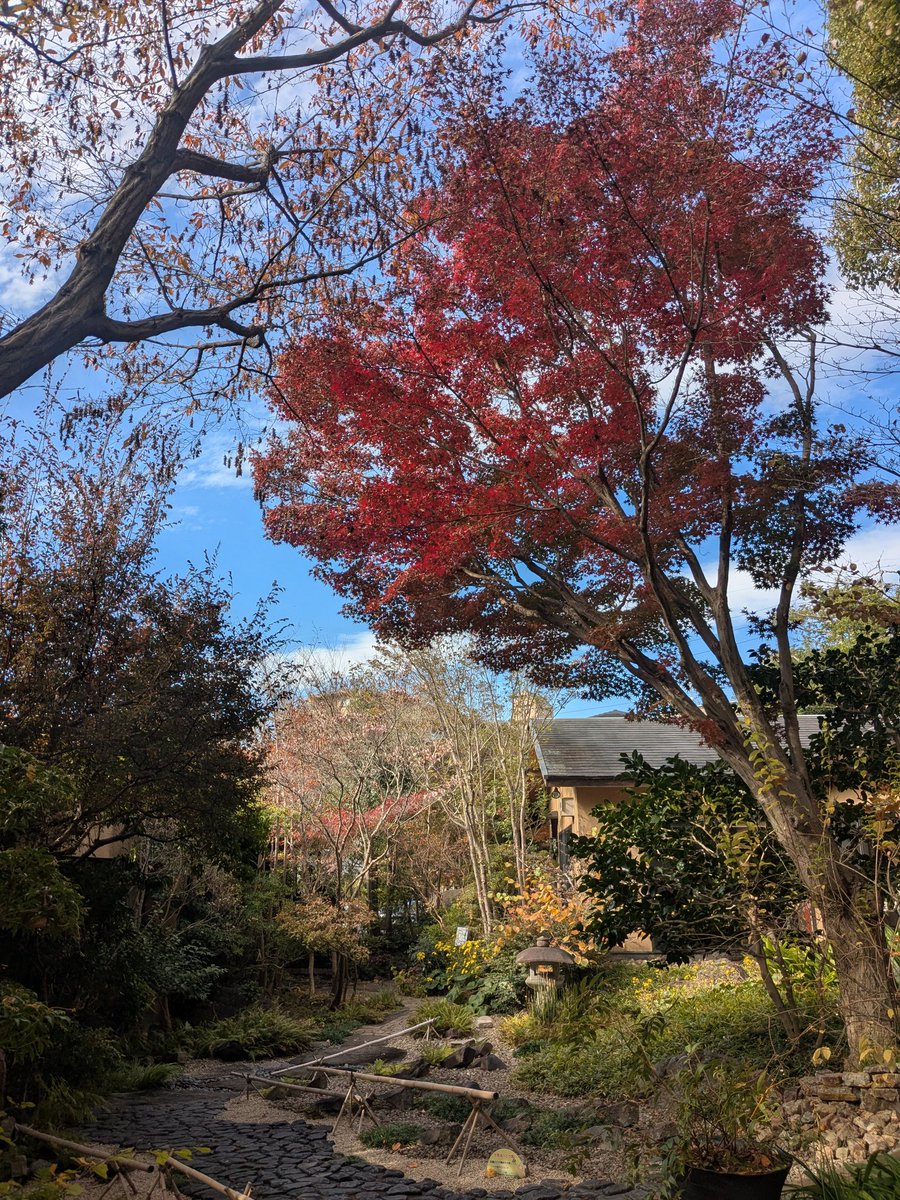 gofuweb's tweet image. 豊田市のガーデニングミュージアム花遊庭に行ってきた。憧れるわー。