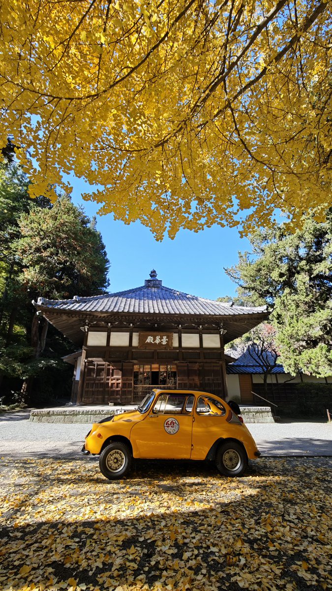 ozzyrow𖤹🐞 (@ozzyrow1) / Posts / X