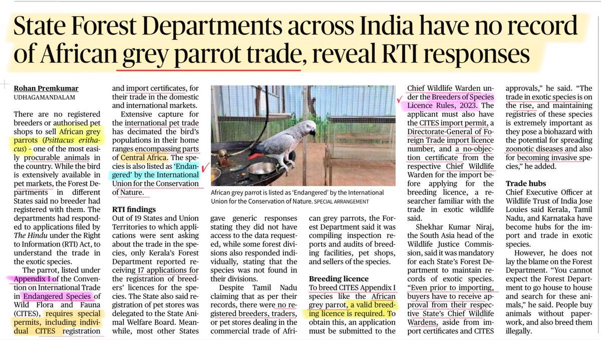 StudyRules12's tweet image. #Parrot 
#wildlife 
#upsc
#UPSCPrelims2026 
#currentaffairs