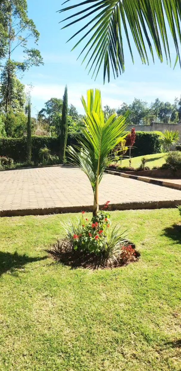 Garden Consultants And Services tweet media