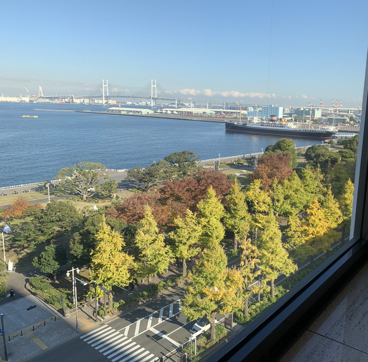 cuoredopera's tweet image. 秋晴れですね♪
#横浜