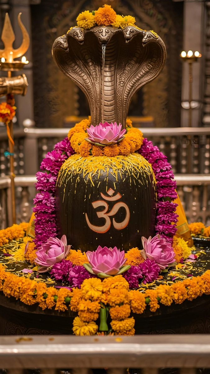 महादेव के शिव लिंग के दिव्य आलौकिक दर्शन 👇 

🌺🌺हर हर महादेव 🌺🌺