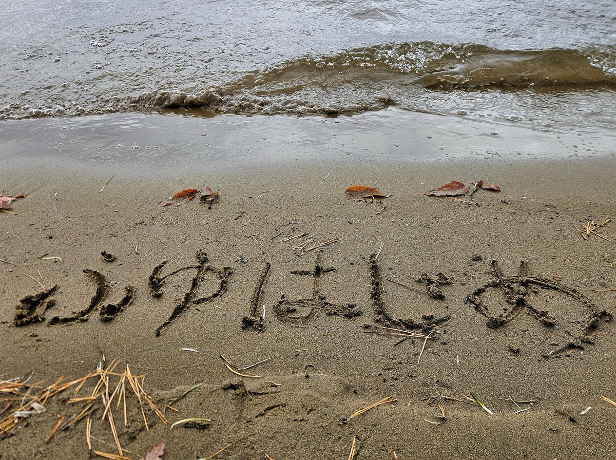 izumiaction's tweet image. みんな、はじめてる❓
はじめてなければ、
今夜、ピーアクで‼️‼️‼️
ご一緒に‼️‼️‼️
📣ギャーーーーーーーーーっ🚩🚩🚩
#ふゆはじめ
#PEAKACTION #あたいらのピーアク 
@PEAKACTION2011