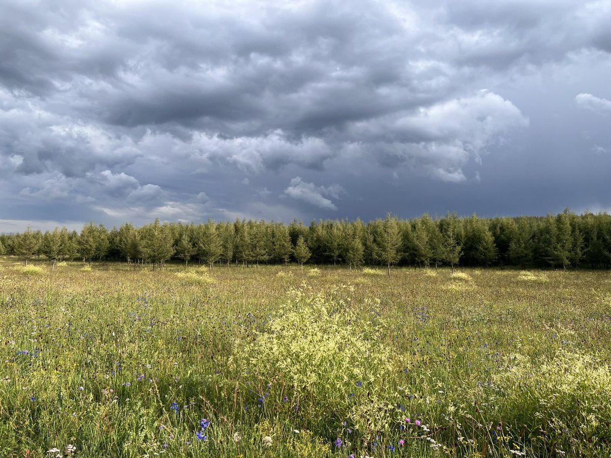 杠赛来(互fo) (@nathan02313) on Twitter photo 