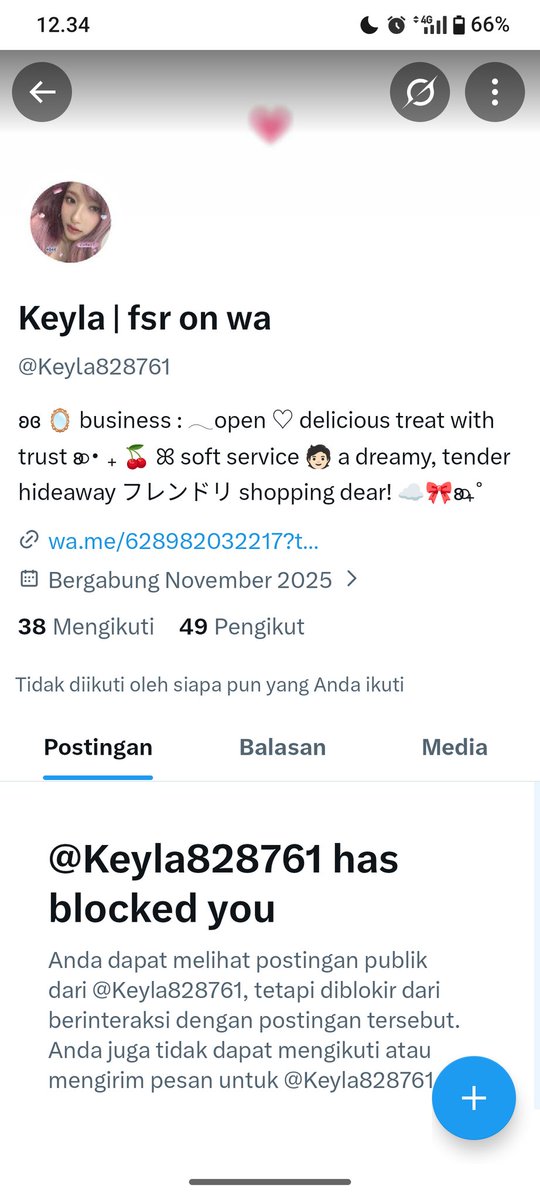 dz tweet media