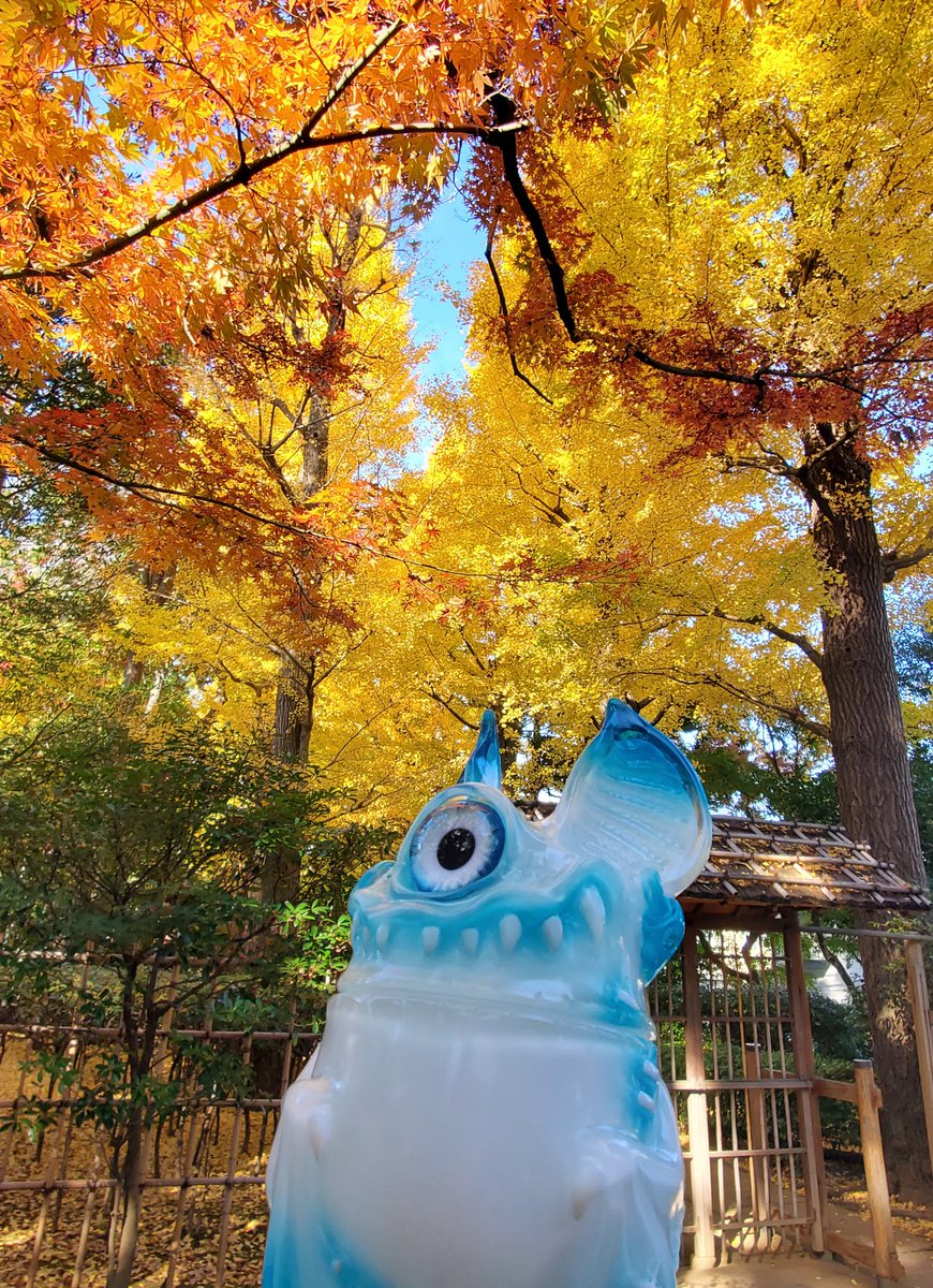 LiuYuYun4's tweet photo. 今日は良い天気ね(•ө•)♡
荻窪に紅葉を見に行きました。
まだ全て赤くはなっていませんでしたが、それでもとても綺麗でした！ https://t.co/uXj3SSi0C9