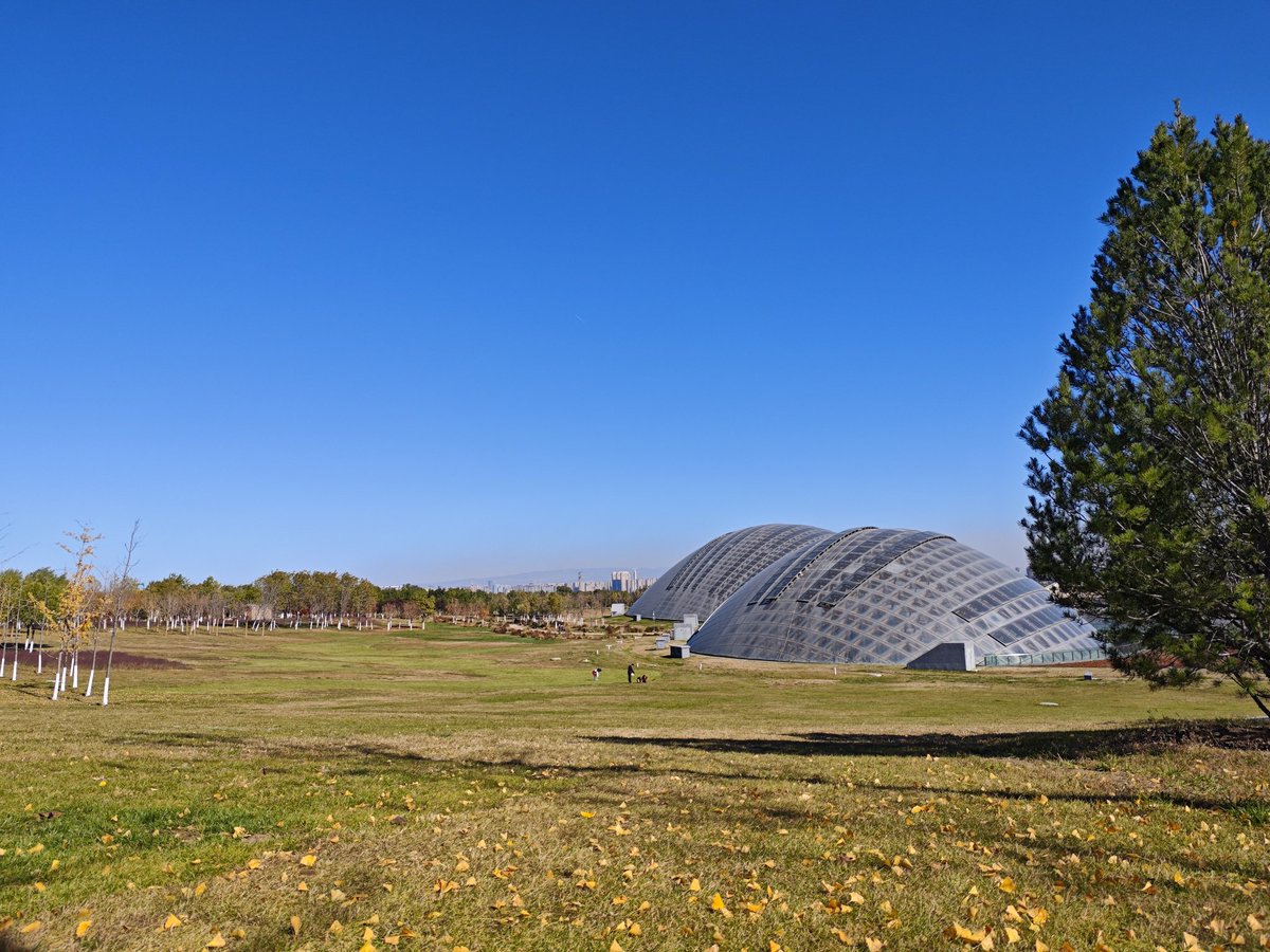 david_andrew123's tweet image. inner peace 🙂