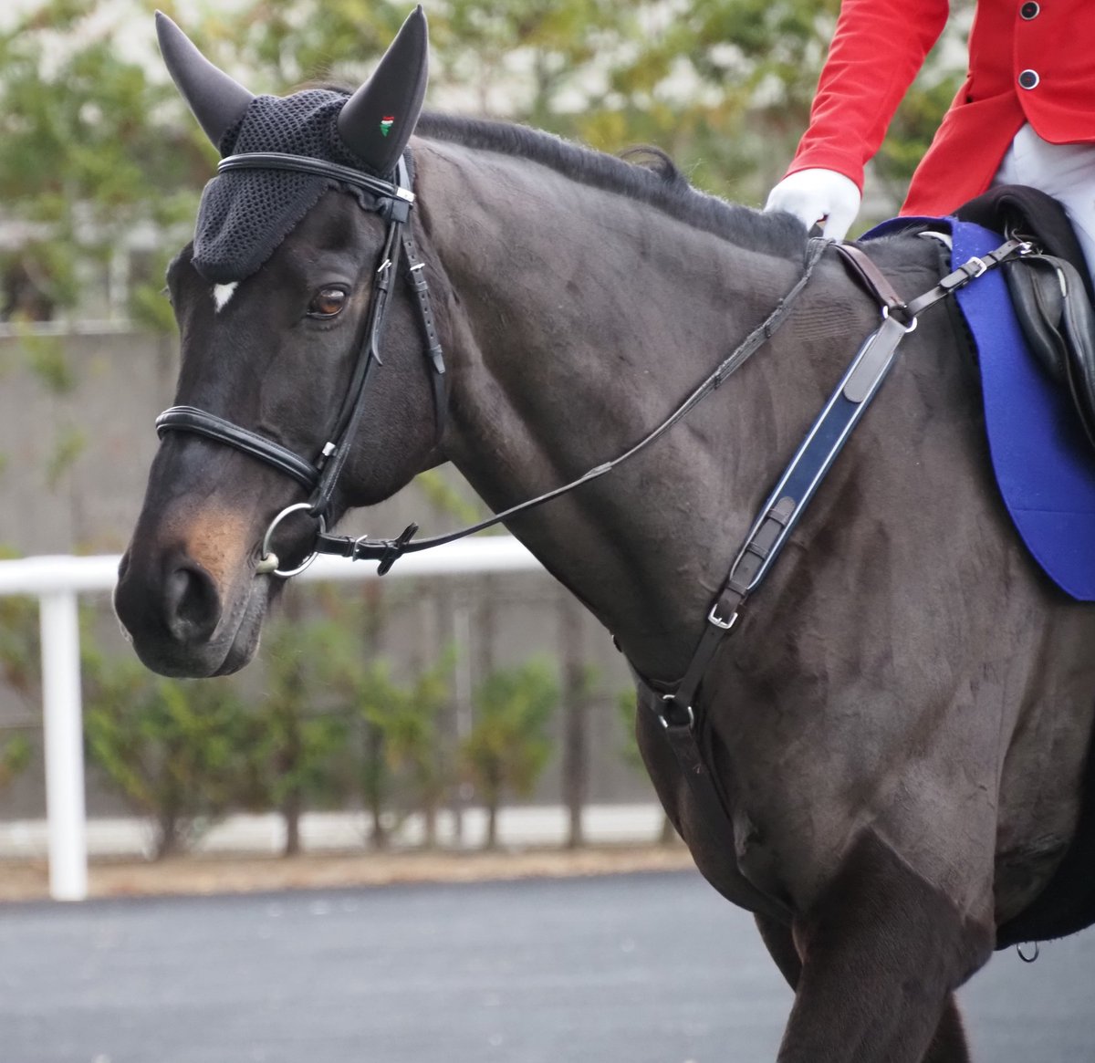 et-coquine (@et_coquine0725) / Posts / X