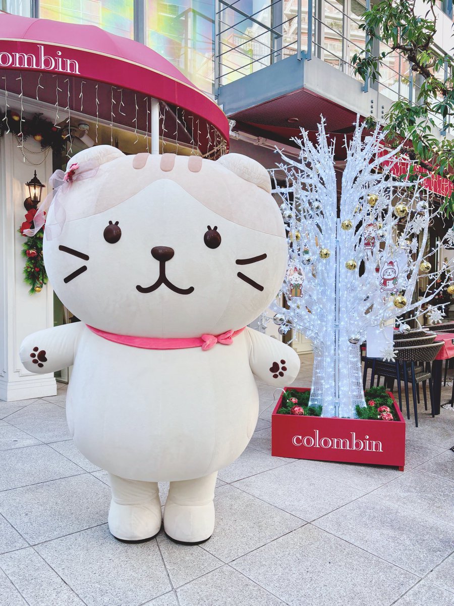 ami_pf_'s tweet image. コロンバン原宿サロンへ🎀
スコアさんにお会いできました🐱
#ふくふくにゃんこ