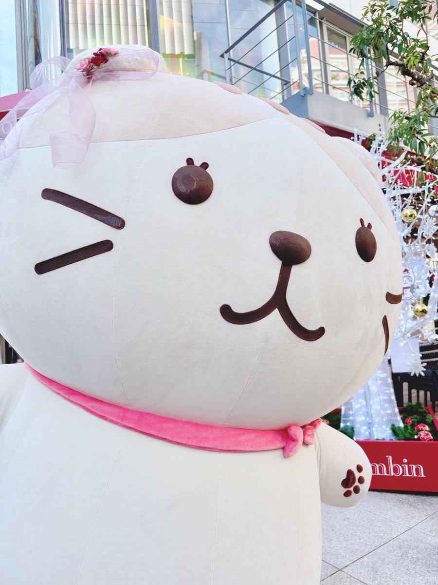 ami_pf_'s tweet image. コロンバン原宿サロンへ🎀
スコアさんにお会いできました🐱
#ふくふくにゃんこ