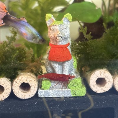 SimonTseng11's tweet photo. #NewProfilePic (新個人資料照片) https://t.co/JbbyXaIs5t