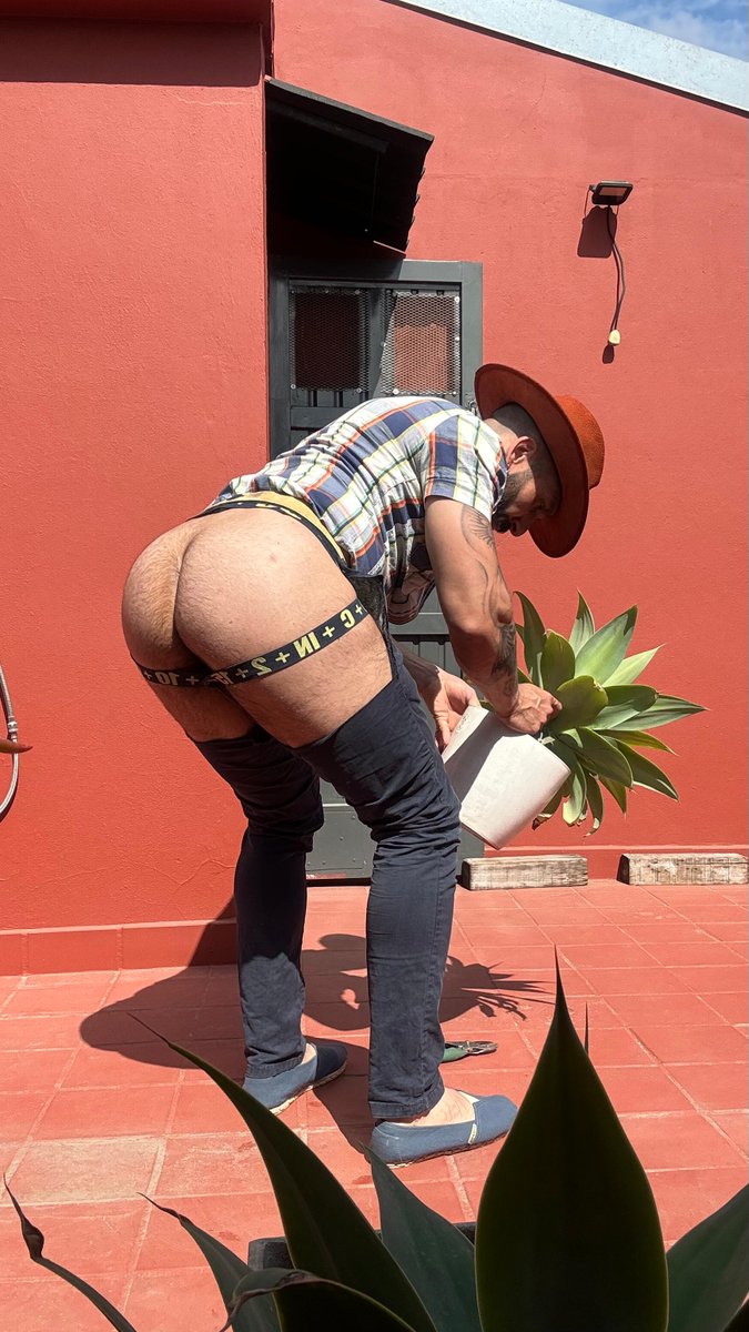 Butt Bull 🍑🐂 tweet media