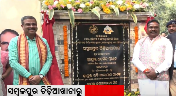 ArgusNews_in's tweet photo. #Sambalpur : Union Minister Dharmendra Pradhan lays foundation-stone for tiger enclosure in Sambalpur Zoo
#SambalpurZoo #DharmendraPradhan #TigerEnclosure https://t.co/wD7AnlAE3o