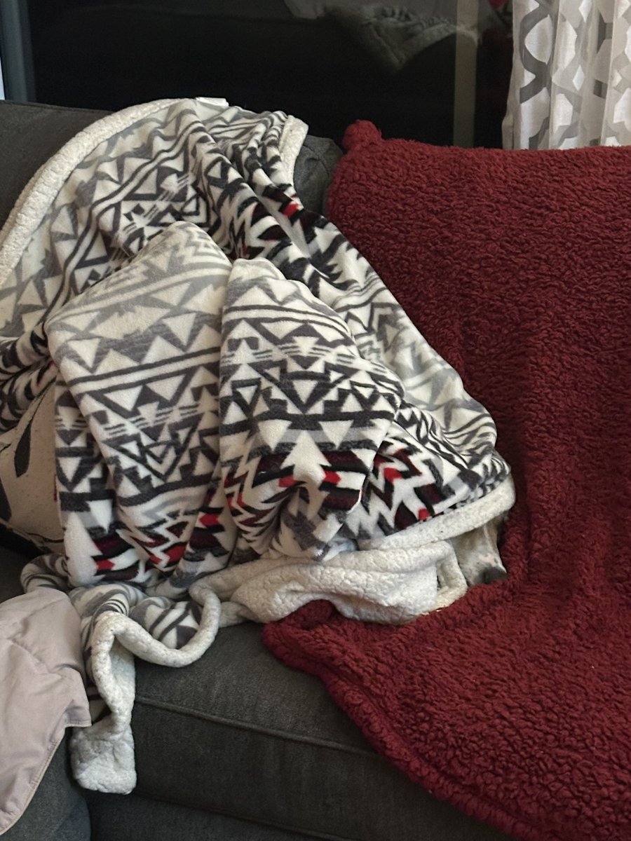 Little shit did this all by himself.