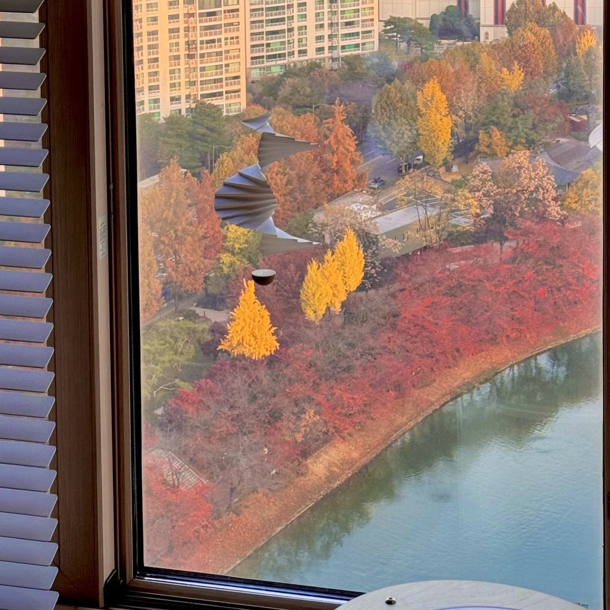 단밤 ✧☾ tweet media