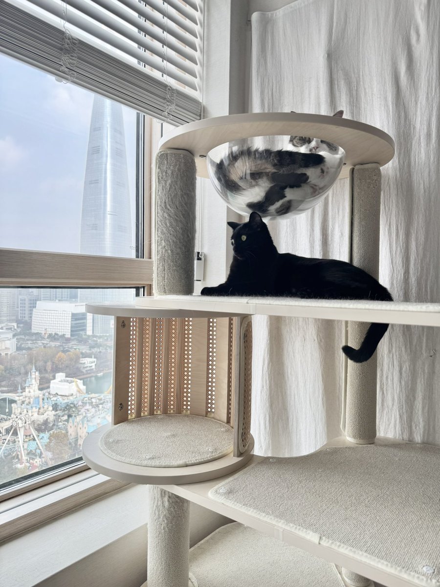 단밤 ✧☾ tweet media