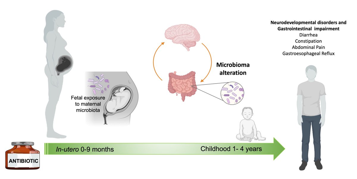 Microbiome2026's tweet image. 🚨 24 HOURS LEFT!
Last chance to submit your abstract for GMC 2026 June 15–16, 2026 | Boston 🌍
Showcase your breakthrough microbiome research at this global hybrid event.
🔗microbiomecongress.org/abstract-submi…
🌐microbiomecongress.org

#Microbiome #GutBrainAxis #Neurodevelopment #Probiotics