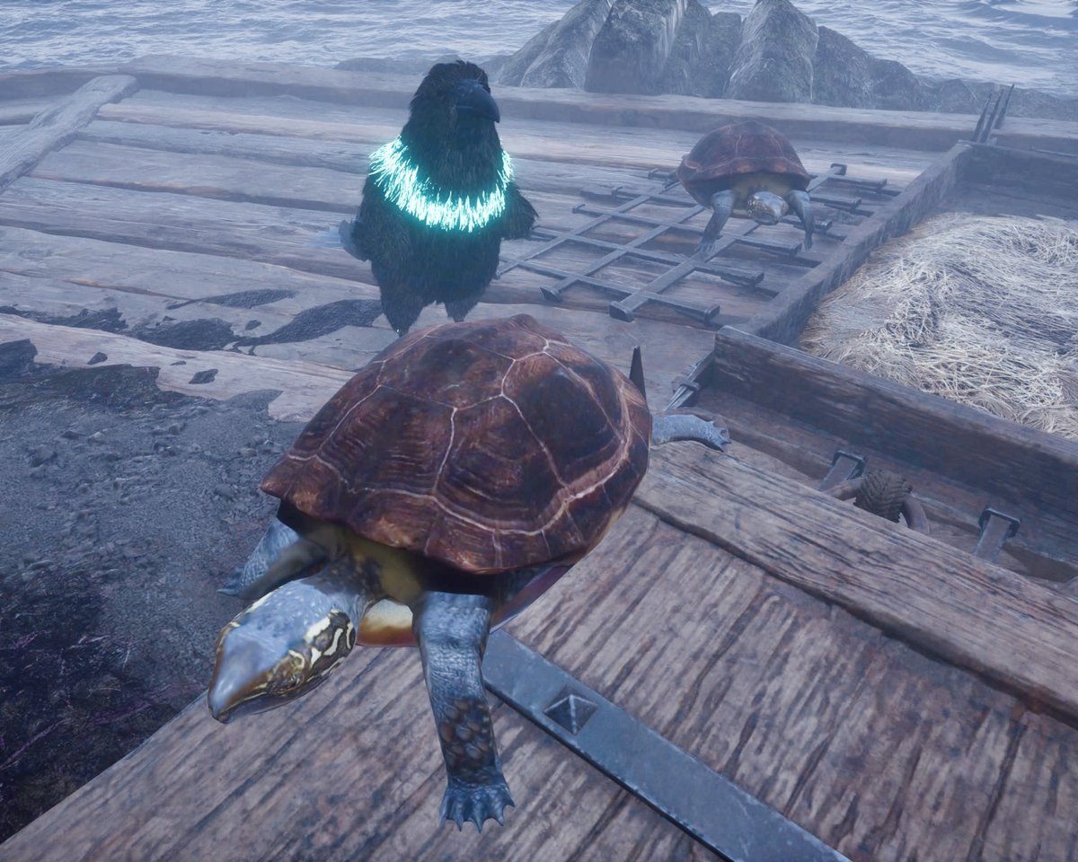 カメさん☆ページ 久しぶりに見てみたらカメさんが2匹になっててびっくりしたバグなのか