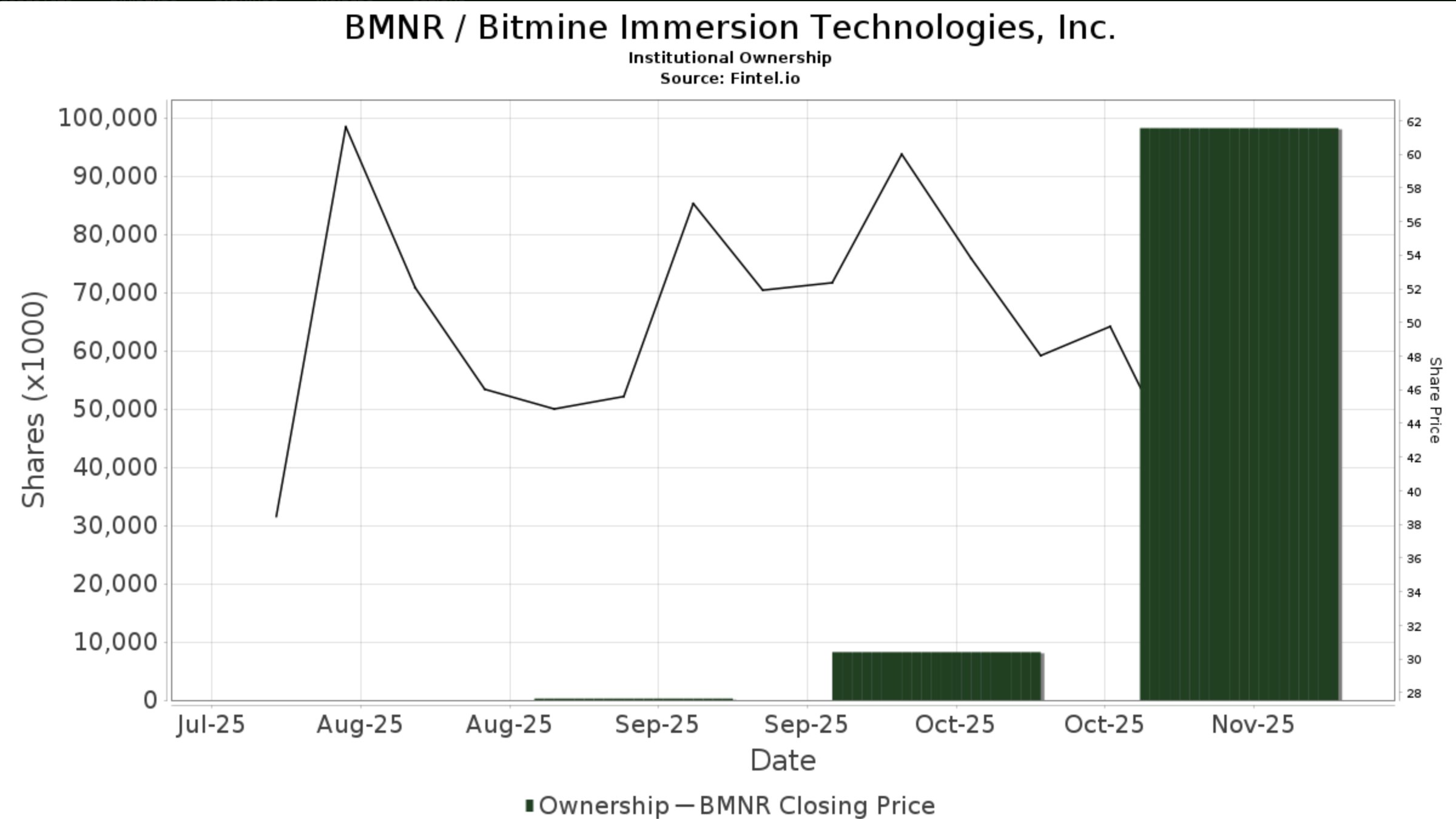Bitmine Immersion's Institutional Ownership