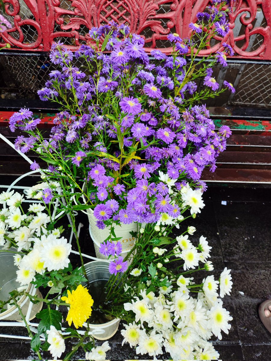 aisah145's tweet photo. 💐 https://t.co/kVUlCnbaa0
