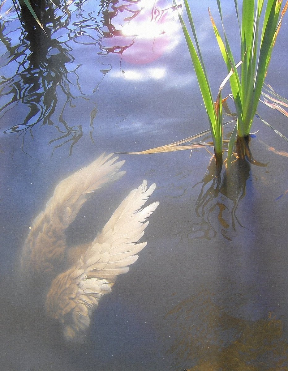 artistryhere's tweet image. mystique.