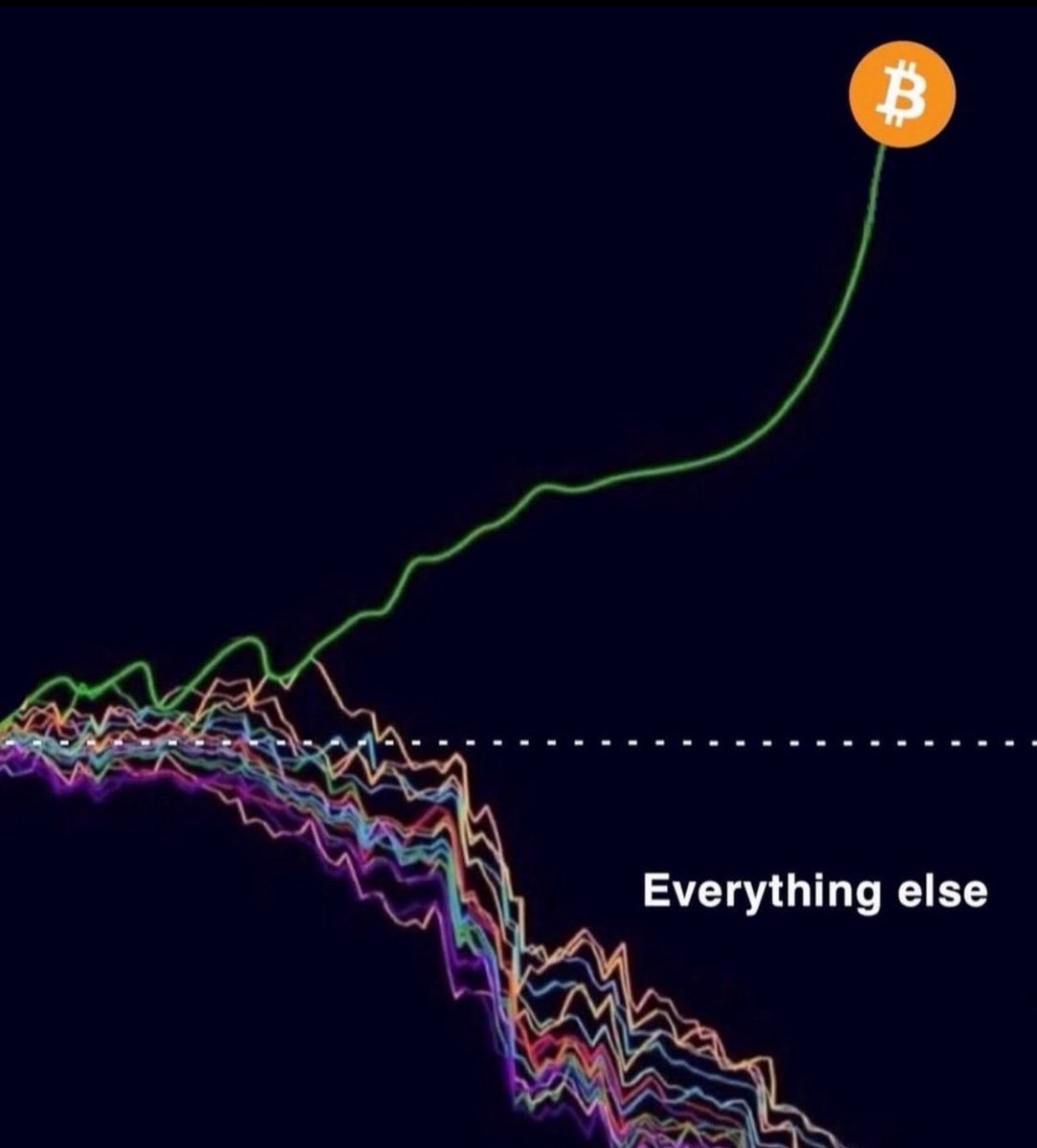 Everything is going to zero against Bitcoin.