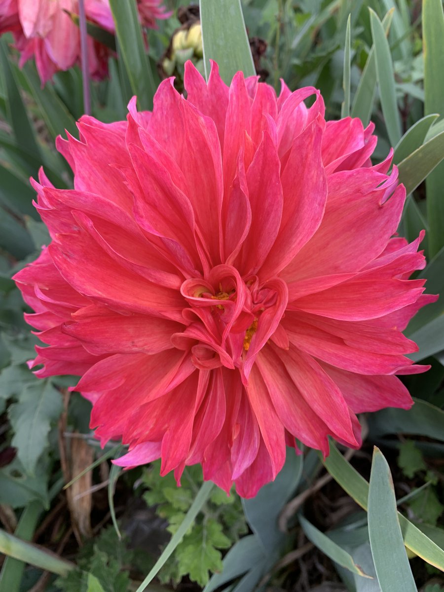 Green22229Pool's tweet image. Boldness is essential in the early stages of a large project because it sets the scale and attracts support from people, while precision becomes crucial later to turn ideas into reality. Like digging a hole, we must first dig wide with boldness and then dig deep with planning.