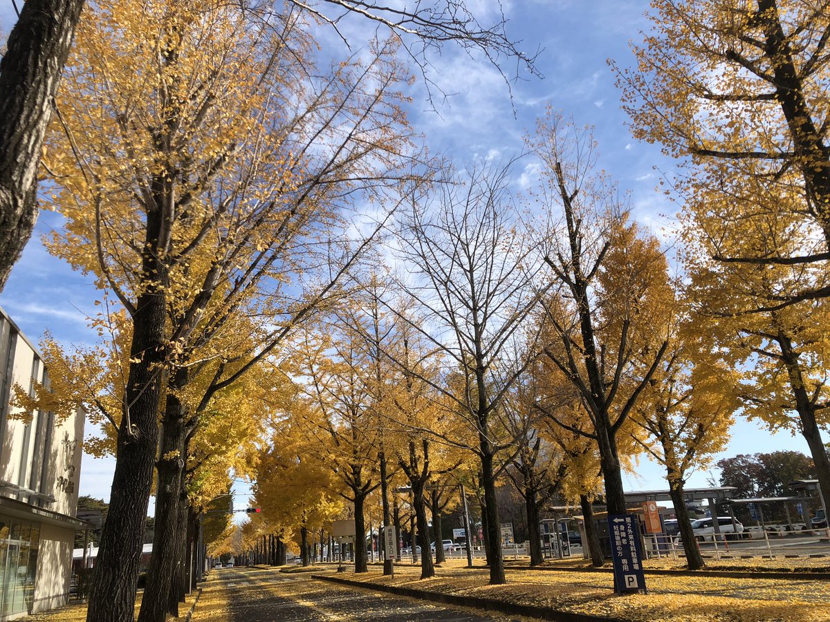 メロンソーダパン (@melon_sodapan) / Posts / X