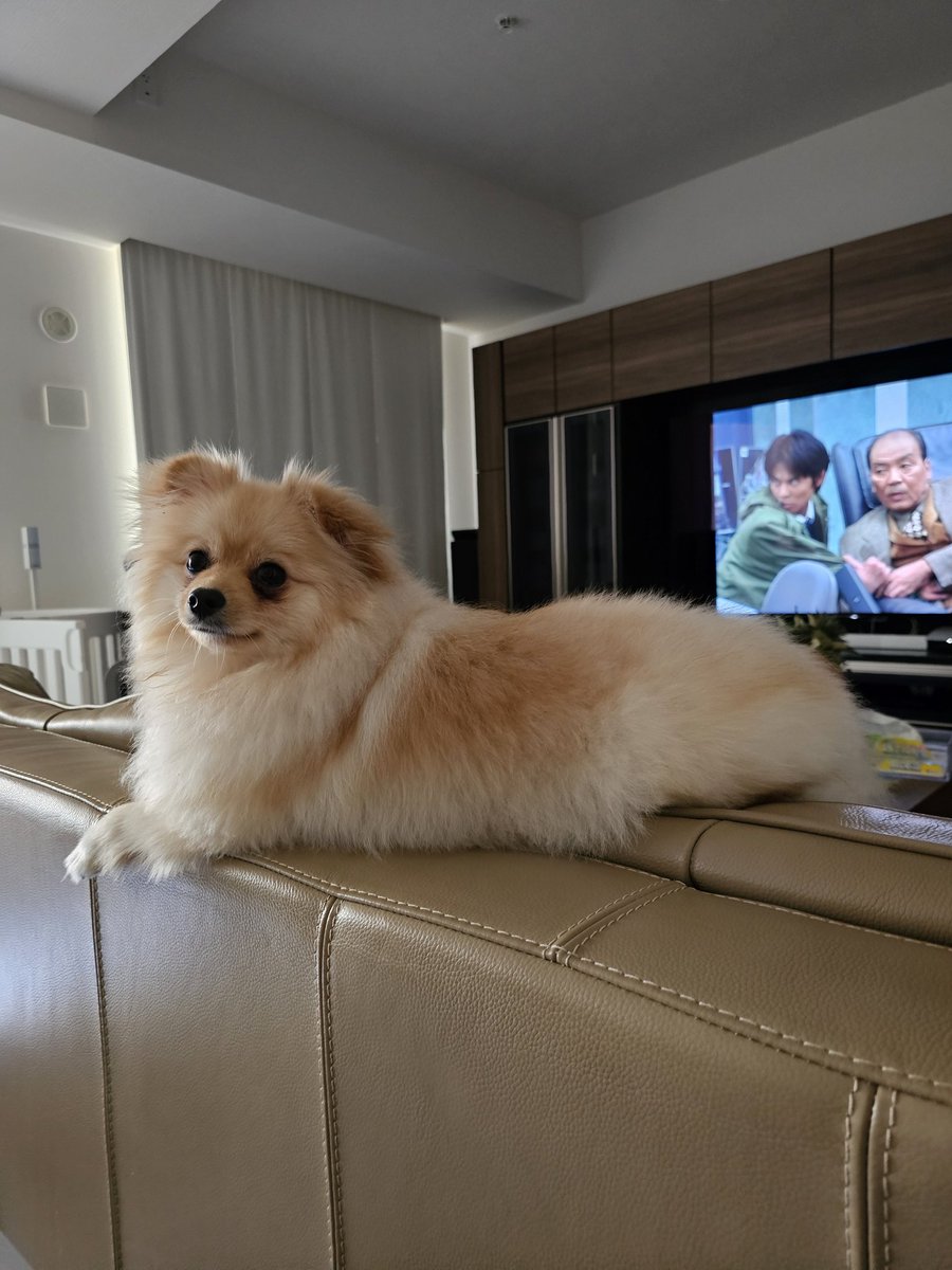 hiro (@hirohiro0720) / Posts / X