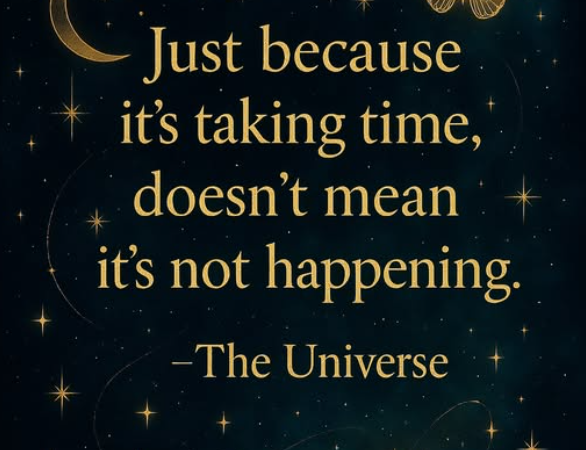 Druidshaven tweet media