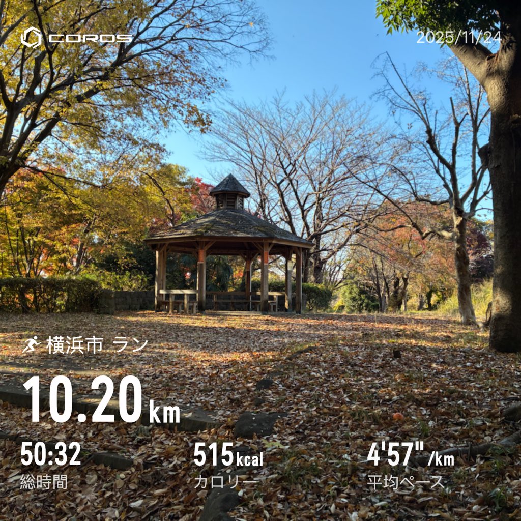 runycorrer's tweet image. ラン
　E50分
　(11月合計282km / T152分 / M55分)
#サブエガ  #coros #pacepro