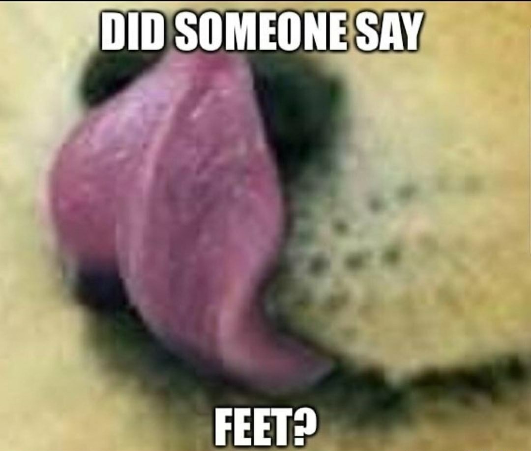 ProjectCadejo's tweet image. 