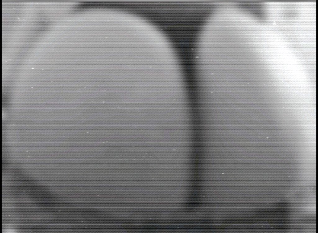 pass_019 tweet media