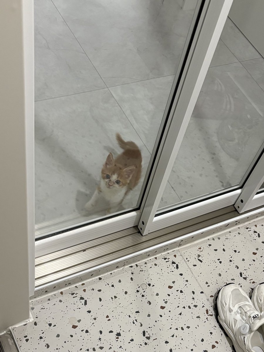 마중도 나와주던 갓난아기담이
지금은 안나와줌! 
ㅠㅠ