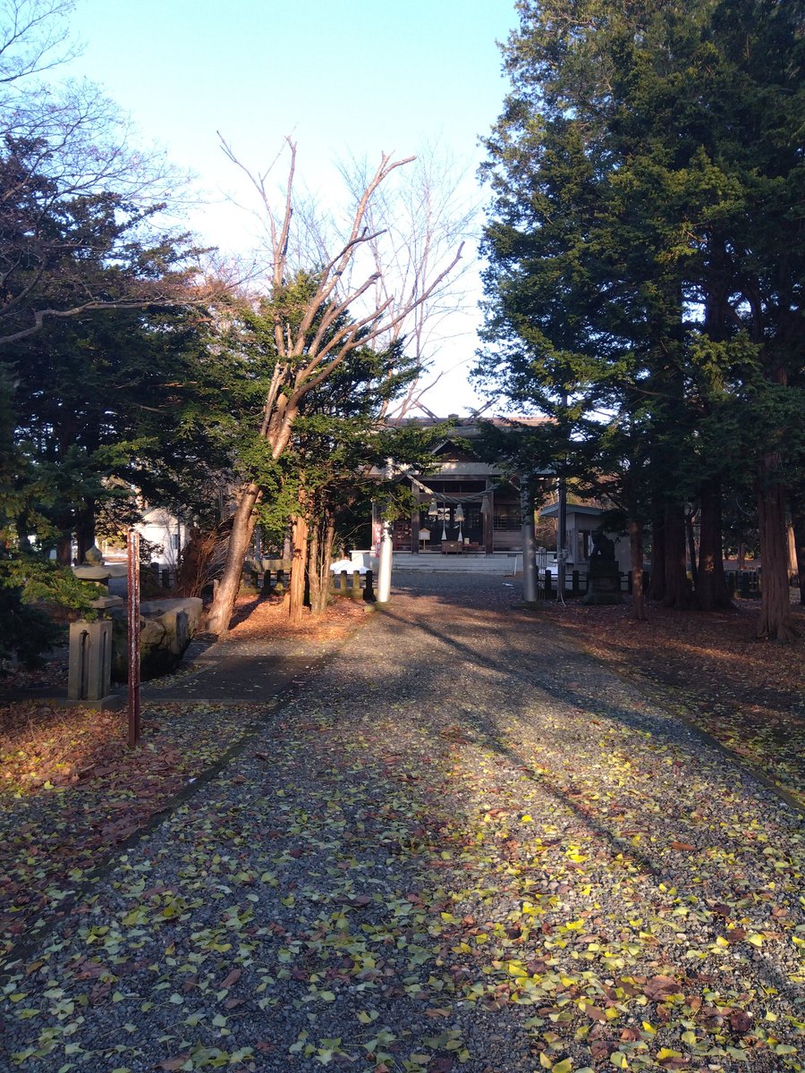 つっちー tweet media