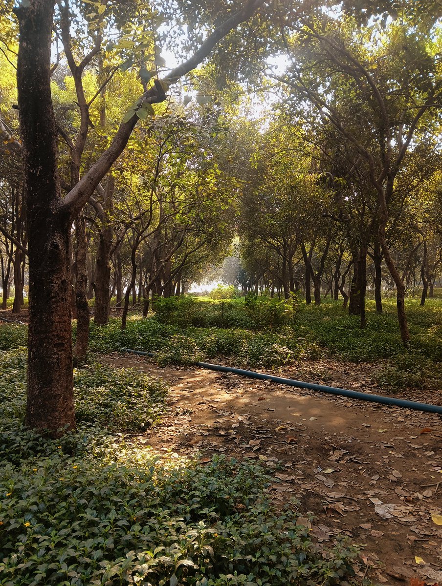 The Elden Lord tweet media