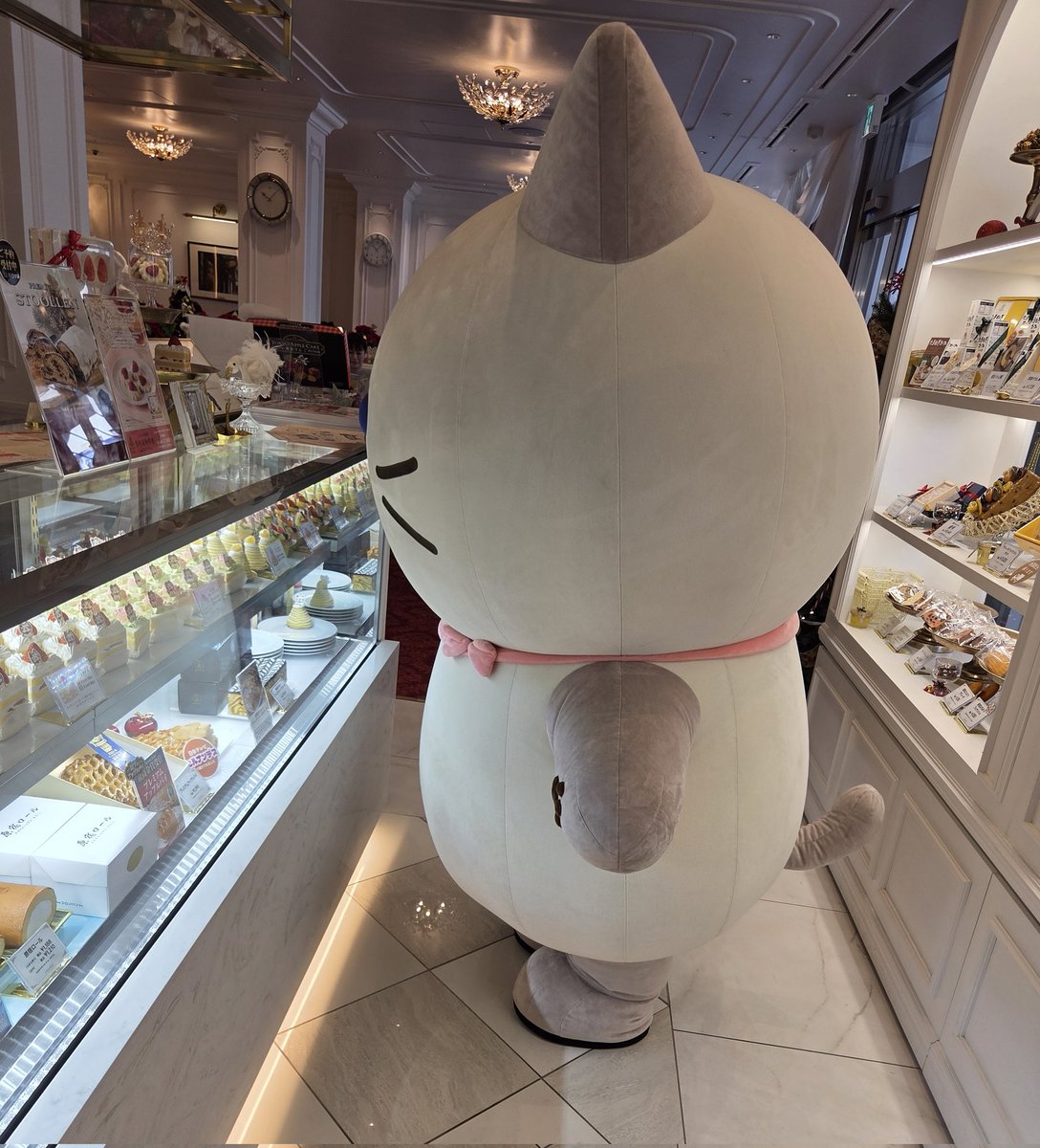 summer_yan2925's tweet image. 美味しそうなケーキたくさん並んでいるから悩むよね～😺笑

#ふくふくにゃんこ　#ふくふくにゃんこ集会　#コロンバン