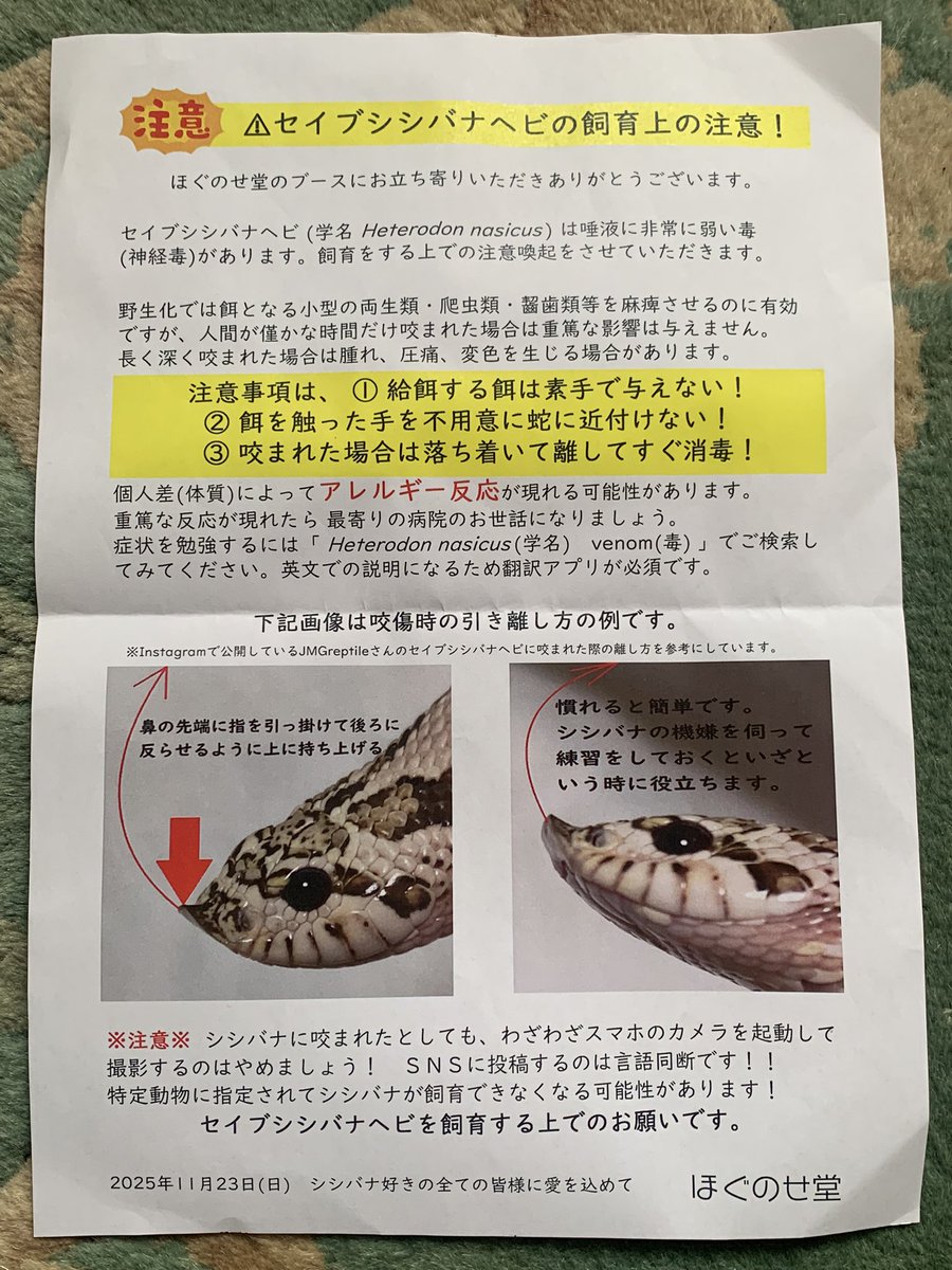 mintchoco@おへび部屋𓆙𖤣𖥧𖥣𖡡𖥧𖤣 (@nyoro6mama) / Posts / X