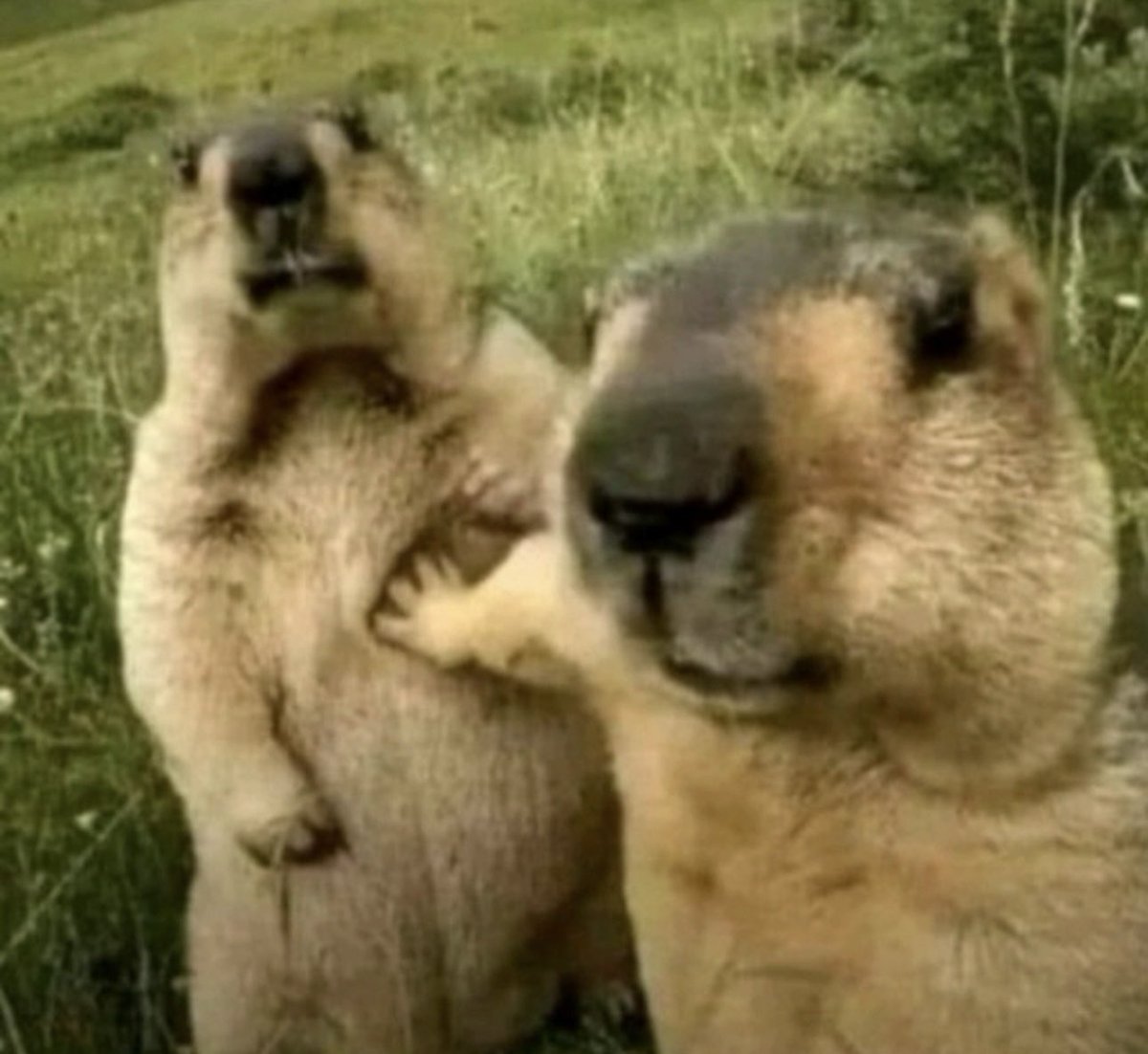 Collin Michael tweet media